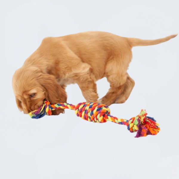 Pet Dog Ropes